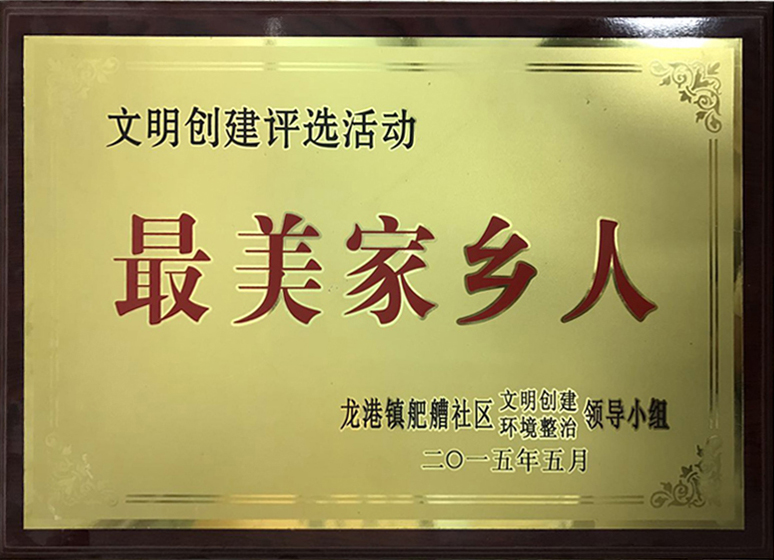 2015最美家鄉(xiāng)人